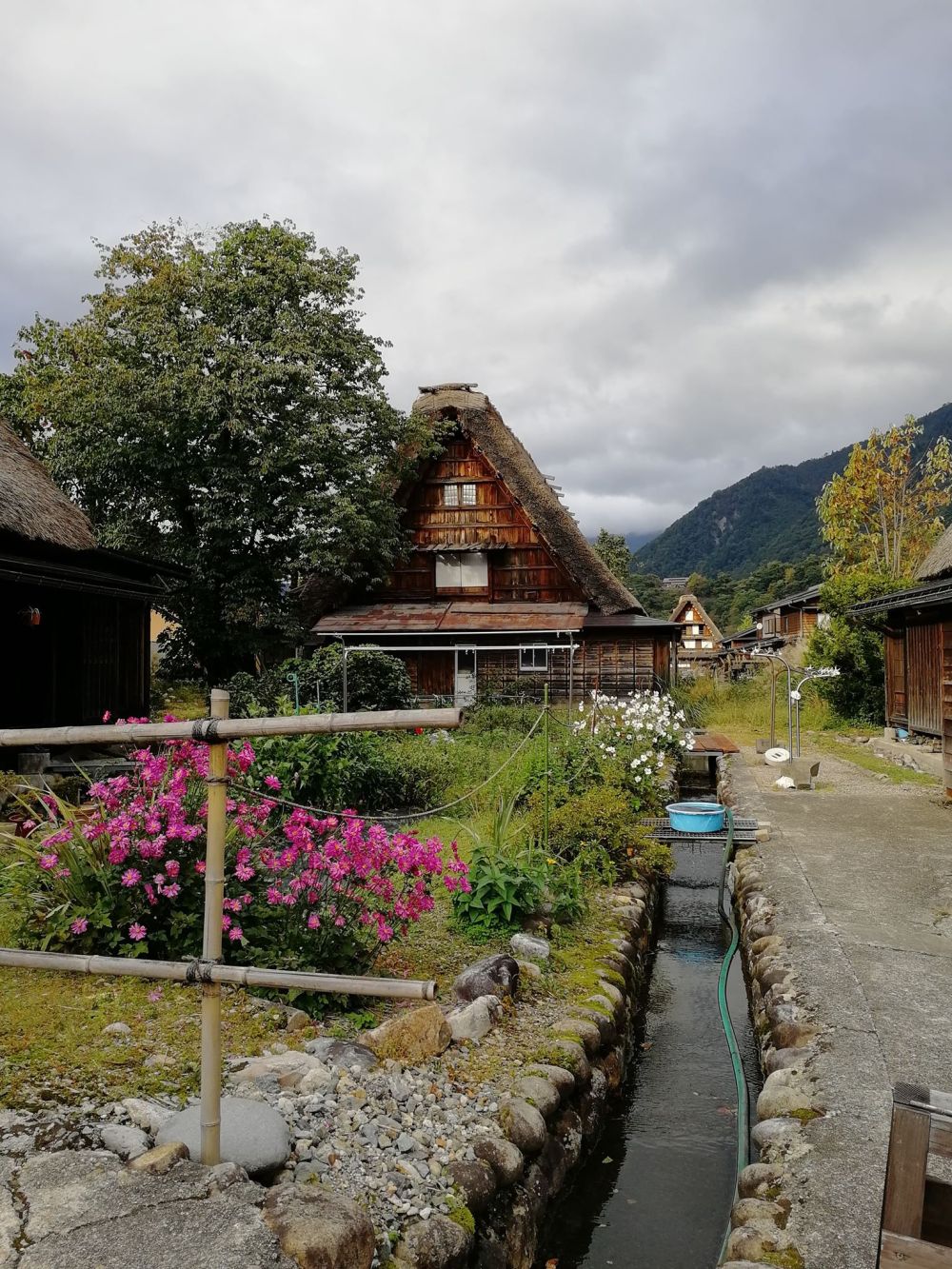 Shirakawa-go3