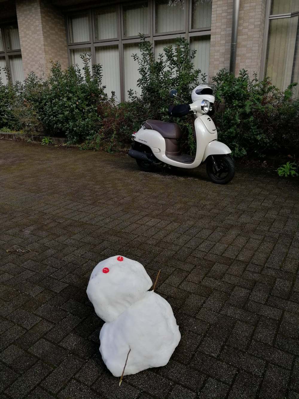 53016292_368934303692834_7398365524259766272_n